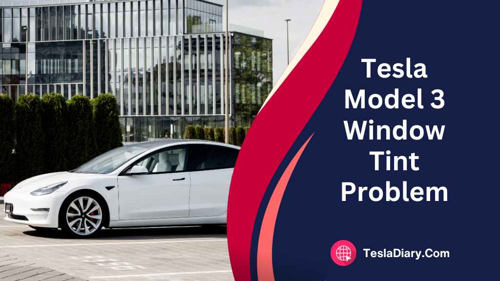 Tesla Model 3 Window Tint Problem