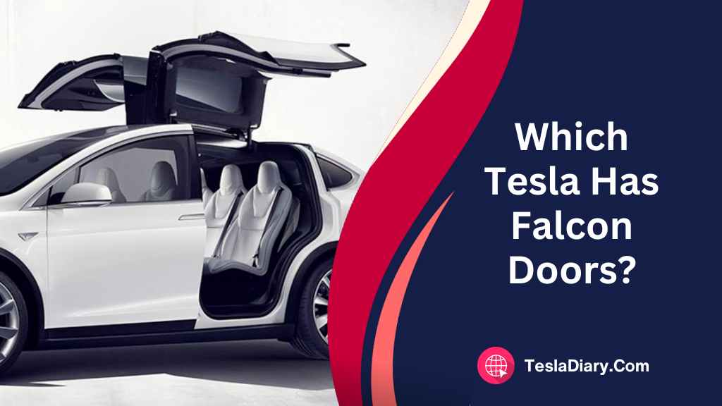 Which Tesla Has Falcon Doors